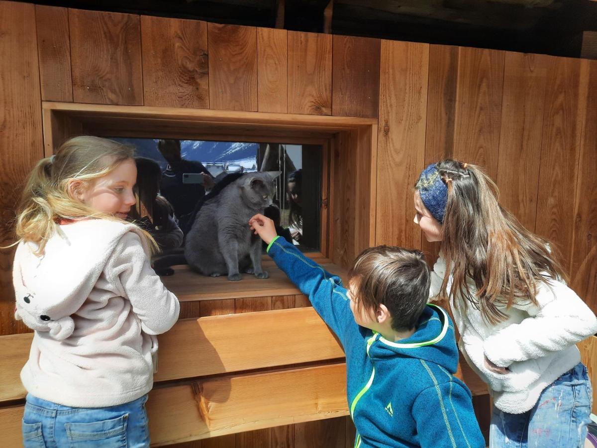 Adlerhof Lägenhet Sankt Leonhard im Pitztal Exteriör bild