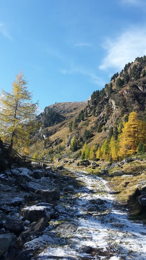 Adlerhof Lägenhet Sankt Leonhard im Pitztal Exteriör bild
